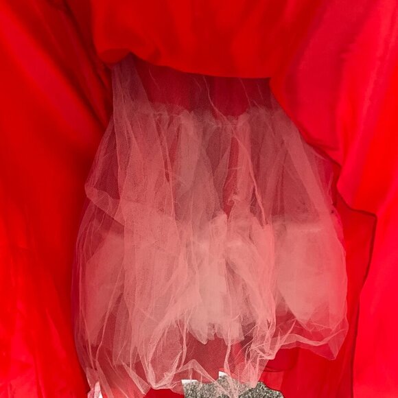 Mac Duggal Red Floral Eyelet Tulle Formal Ball Gown Size 6 - Picture 5 of 8